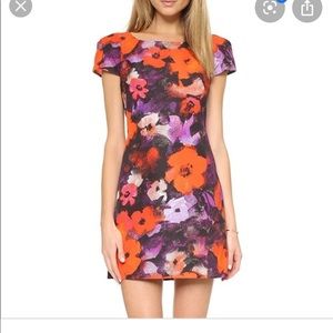 Milly Worn Once Dress